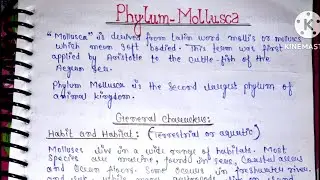 Phylum Mollusca | General Characteristics Of Phylum Mollusca | BSc 1st Year | Zoology 1st Semester |