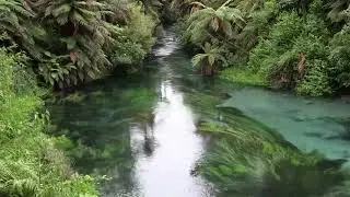 SONS DE RIACHOS, PASSSAROS E ETC - SOUNDS OF STREAM, BIRD AND MORE
