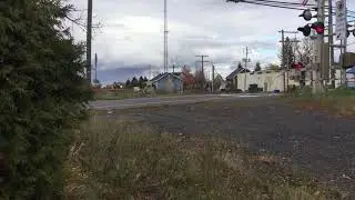 VIA 39:VIA 902 at Laurier-Station,Qc 10/17/2018