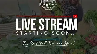 Vego Garden $300 Gift Card Giveaway