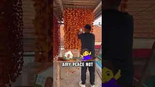 The Sweet Secret Hidden in Every Hanging Persimmon #shorts #shortsfeed #ancientmethod #jstory