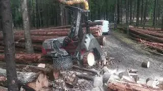 LOG MAX processore forestale 7000XT