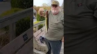 Rapala Fish Gripper #fishing #bassproshop #fishinglure #rapalafishing