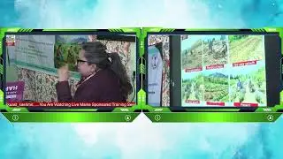 Empowering Women through Agro-Forestry-based home gardens for Enhanced Food Security and Home