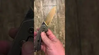 Buck 040 Onset