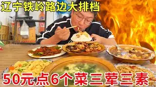 辽宁铁岭路边大排档，50元点6个菜三荤三素，物价梦回2002年#麦总去哪吃