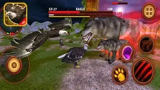 Wild Eagle Survival Simulator: Defeat Super Giant Boss Wolf - Android Gameplay