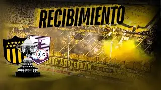 🔥🥁🎺Recibimiento y entra la percusión, HINCHADA DE PEÑAROL vs Defensor sporting - Intermedio 2023