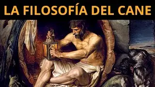What is Canine Philosophy? DIOGENES