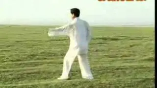 Xing Yi Chuan Twelve Pounding Fists形意拳十二洪捶