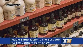 Sweet Job: Trio Of Judges Select Vermont's Best Maple Syrup