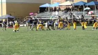 Holy Cross Knights vs Wolverines 9/25/10