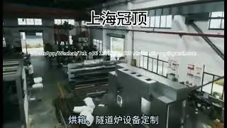 Tailored infrared tunnel furnace drying and solidification equipment by Emperor Long