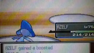 Pok&eacute;mon Platinum Battle Caf&eacute; - Gym Leader Gardenia