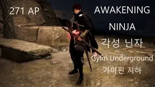Black Desert 각성 닌자 271공 Awakening Ninja 271 AP 가이핀 지하 Gyfin Underground