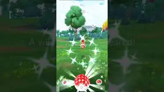 Unbelievable 🤩 Shiny ✨🐟 Bruxish Field Research Reward!