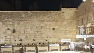 Muzki מוזקי בשידור חי!