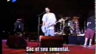 NOFX. Hotdog In A Hall Way - A Perfect Government. Dr Music  97. Escalarre..avi