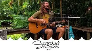 Paul Izak - Dragonfly Lullaby (Live Music) | Sugarshack Sessions