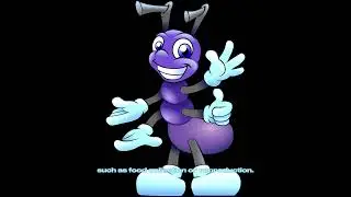 where does ants come from