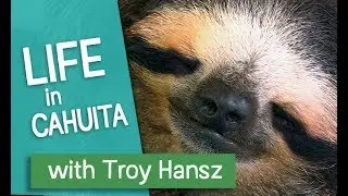 Life in Cahuita, Costa Rica with Troy Hansz