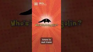 A pangolin species we&rsquo;ve discovered, but never seen