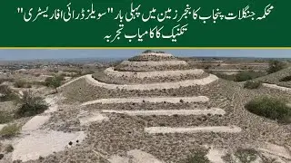 Punjab Forest Initiative | Swales Dry Afforestation Technique from Sahara Africa | FW&F, Punjab