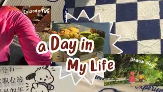 Dhasa vlog: episode 2