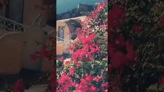 nice music....🍂#naturalistic...🤗