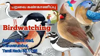 Birdwatching பறவை கண்காணிப்பு Trichy
