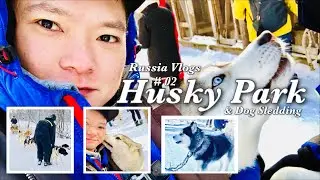 Russia Vlogs 2: Dog Sledding & Husky Park Tour || Best thing to do In Murmansk Russia || Kopi Paulo