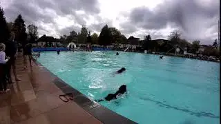 swim10