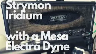 Strymon Iridium parallel with a Mesa Boogie Electra Dyne
