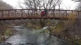Medway Valley Heritage Forest (London Ontario)