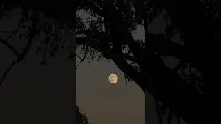 Moon Vibe🌕 #iphone #moon #music #iykyk