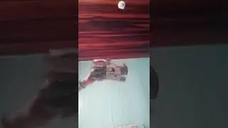 #shortvideo #memes #dragaobranco