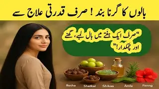 Stop Hair Fall Fast | Natural Hair Growth Remedies | Hair Care Tips | Daily Hack Station