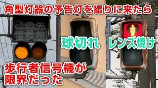 角型予告灯を撮影しに行ったら歩行者信号機が限界でした　変わった信号機