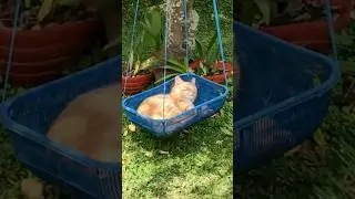 He Is Always Hard At Work 😂