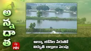 Electricity charges raised in the name of Aqua zones - Aqua farmers at loss | ETV