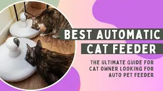 Best Automatic Cat Feeder | Top Automatic Pet Feeder in 2024