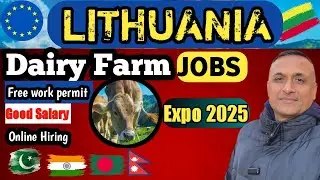 Don't Miss Out on Lithuania's Dairy Farm Job Opportunities