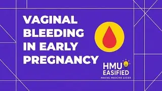 Gyne-Obs: Vaginal bleeding in early pregnancy