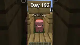 Wall of Random Blocks Day 192