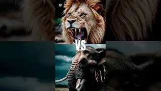 Ai hybird Animal fighting #ai #fight #animals #shorts #animalshorts