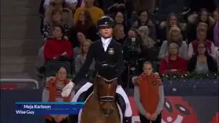 Meja Karlsson Wise Guy Freestyle Pony SIHS 2018