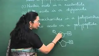 Re-AIPMT 2015 Solution-Biology Video Q. 64-65 Aakash Institute