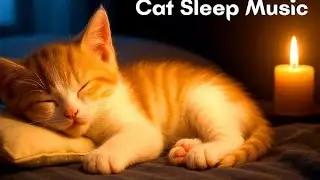 Cat Sleeping Long time and nice song.