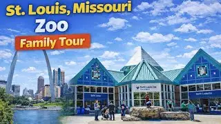 St. Louis Zoo Tour  | 10 Fun & Surprising Facts