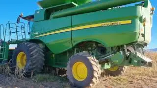 Corn harvest 2022 in South Africa